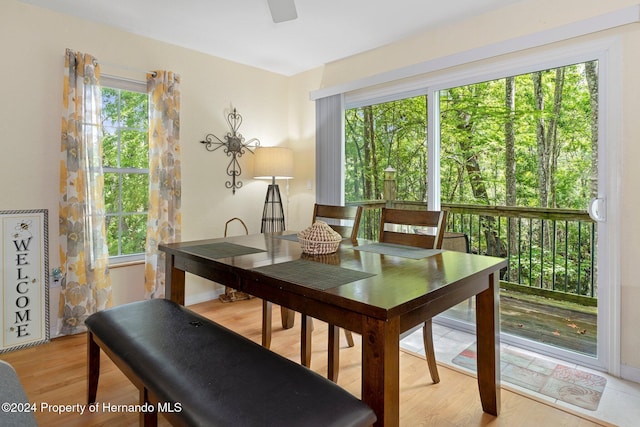 7413 Gettysburg Dr, Weeki Wachee, FL 34607 - dining room featuring healthy amount of natural light, light wood-style flooring, and a ceiling fan