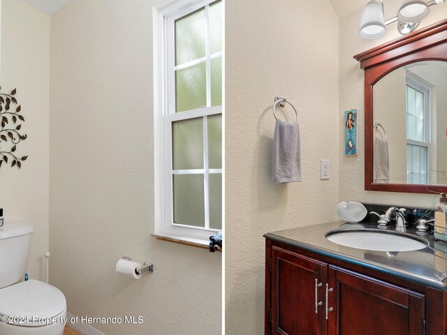 bathroom with toilet, a wealth of natural light, and vanity