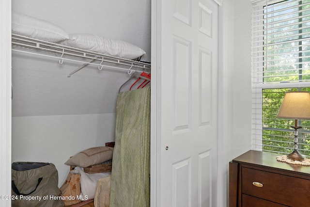 view of closet