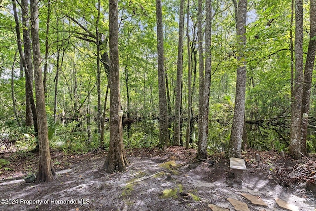 7413 Gettysburg Dr, Weeki Wachee, FL 34607 - view of woods
