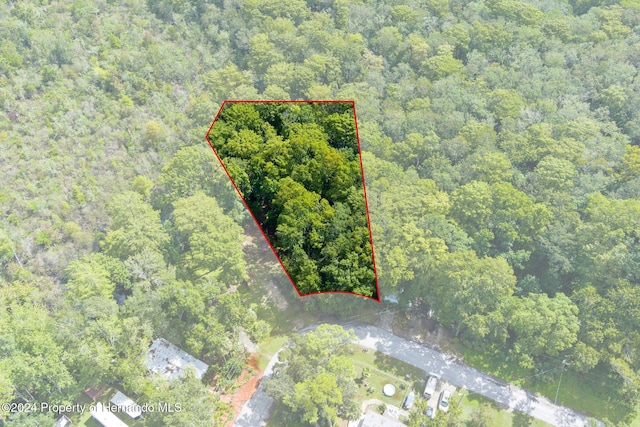 7413 Gettysburg Dr, Weeki Wachee, FL 34607 - view of property location with a heavily wooded area and property boundaries highlighted