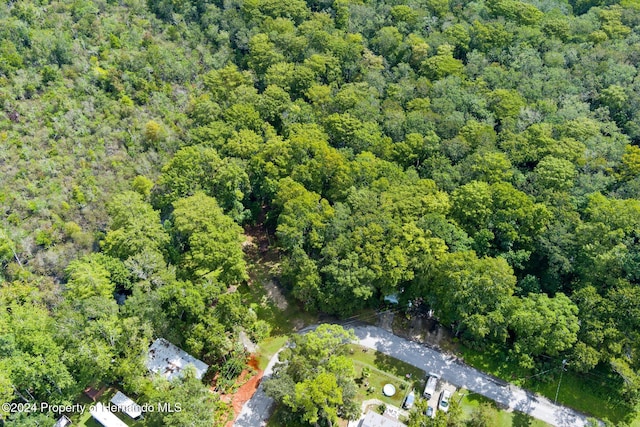 7413 Gettysburg Dr, Weeki Wachee, FL 34607 - aerial view of property's location featuring a forest