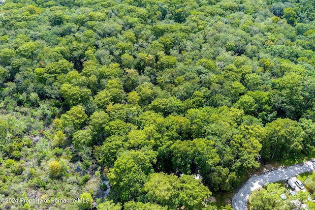 7413 Gettysburg Dr, Weeki Wachee, FL 34607 - drone / aerial view of a forest