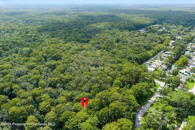 7413 Gettysburg Dr, Weeki Wachee, FL 34607 - aerial view of a heavily wooded area