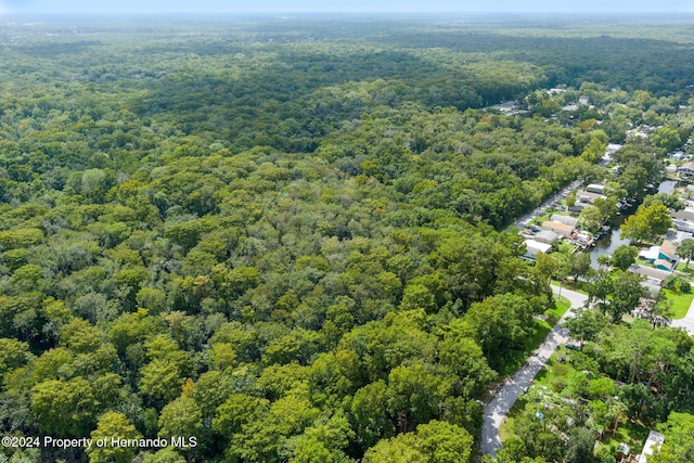 7413 Gettysburg Dr, Weeki Wachee, FL 34607 - aerial view of a forest