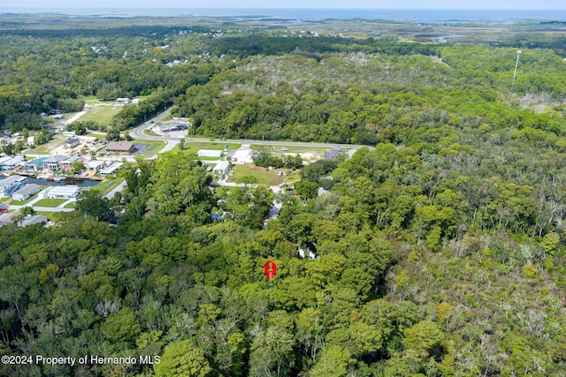 7413 Gettysburg Dr, Weeki Wachee, FL 34607 - view of property location featuring a forest