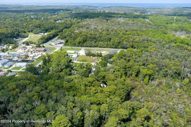 7413 Gettysburg Dr, Weeki Wachee, FL 34607 - aerial view of property and surrounding area with a forest