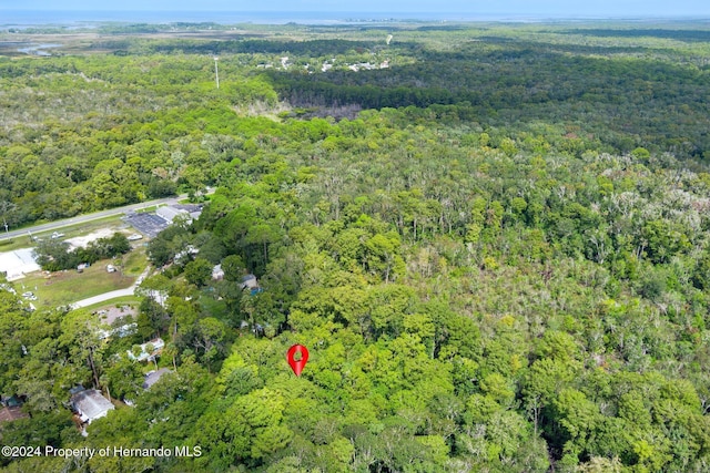 7413 Gettysburg Dr, Weeki Wachee, FL 34607 - view of property location with a forest