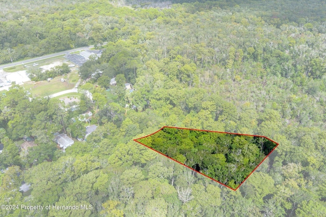 7413 Gettysburg Dr, Weeki Wachee, FL 34607 - aerial view of property's location featuring a heavily wooded area and property parcel outlined