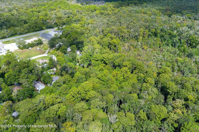 7413 Gettysburg Dr, Weeki Wachee, FL 34607 - view of property location with a heavily wooded area
