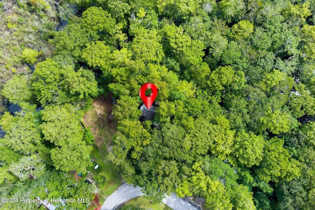 7413 Gettysburg Dr, Weeki Wachee, FL 34607 - aerial view of property's location