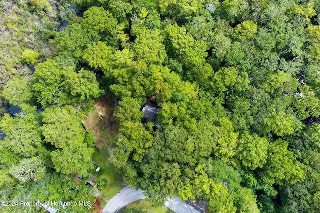7413 Gettysburg Dr, Weeki Wachee, FL 34607 - aerial overview of property's location