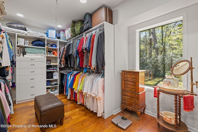 spacious closet with hardwood / wood-style floors