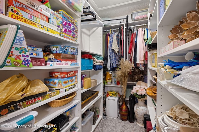 walk in closet featuring carpet floors