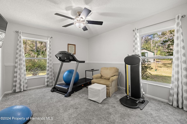 workout room with ceiling fan, carpet floors, and a textured ceiling