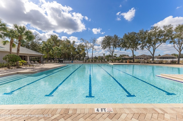 view of swimming pool with a patio