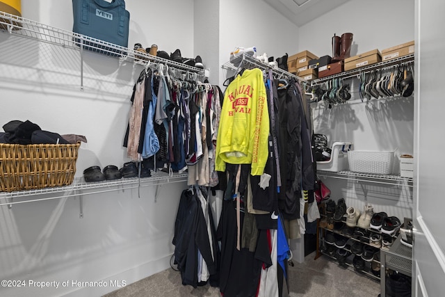 walk in closet with carpet flooring