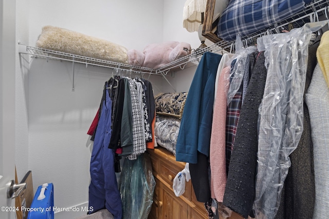 view of walk in closet