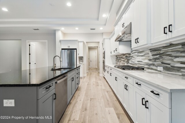 19504 Sheltered Hill Dr, Brooksville, FL 34601 - kitchen featuring a sink, stainless steel appliances, under cabinet range hood, recessed lighting, and light wood-type flooring
