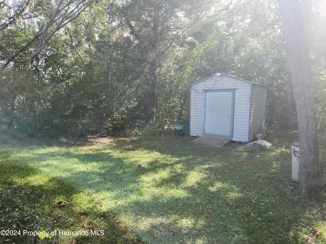 view of yard featuring a storage shed