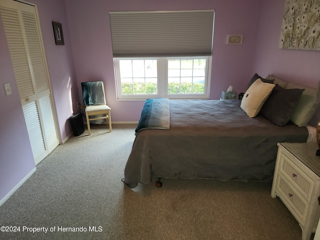 bedroom with a closet and light colored carpet