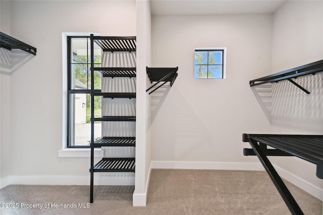 spacious closet with light carpet