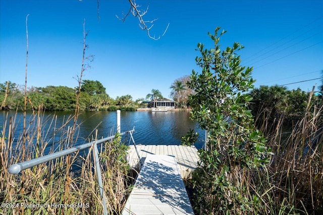 view of dock with a water view