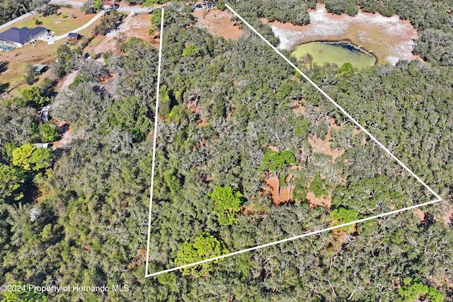 16900 Akins Dr, Shady Hills FL, 34610 land for sale