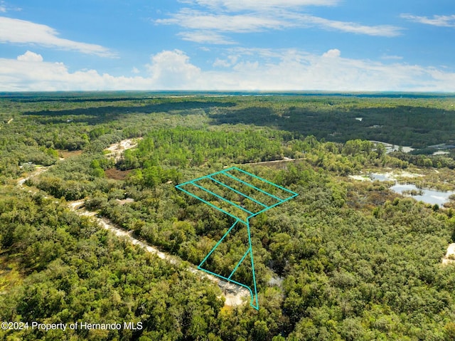 0 Hardstone Dr, Webster FL, 33597 land for sale