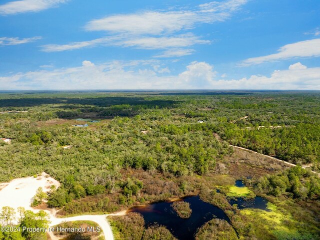 0 Hardstone Dr, Webster, FL 33597