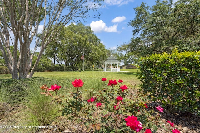 view of yard featuring a gazebo