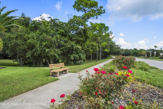 view of community with a yard