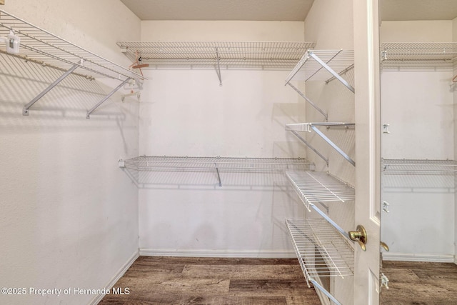 walk in closet with wood finished floors