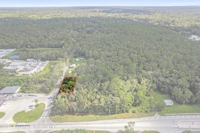 0 Ft Dade Ave, Brooksville FL, 34601 land for sale