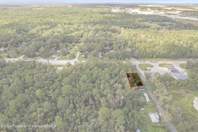 Listing photo 3 for 0 Ft Dade Ave, Brooksville FL 34601