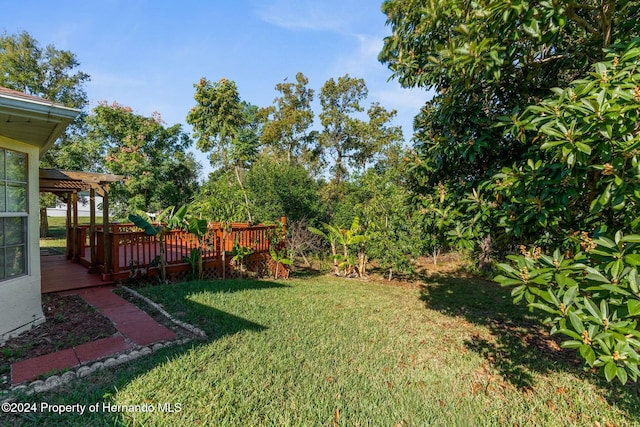 view of yard with a wooden deck