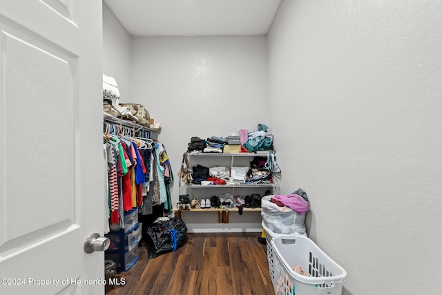 spacious closet featuring dark wood-type flooring