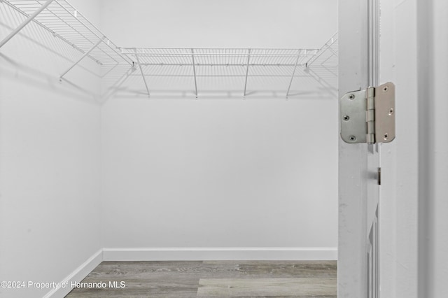 spacious closet with wood-type flooring