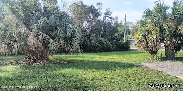 Listing photo 3 for 0 Martha Ave, Port Richey FL 34668