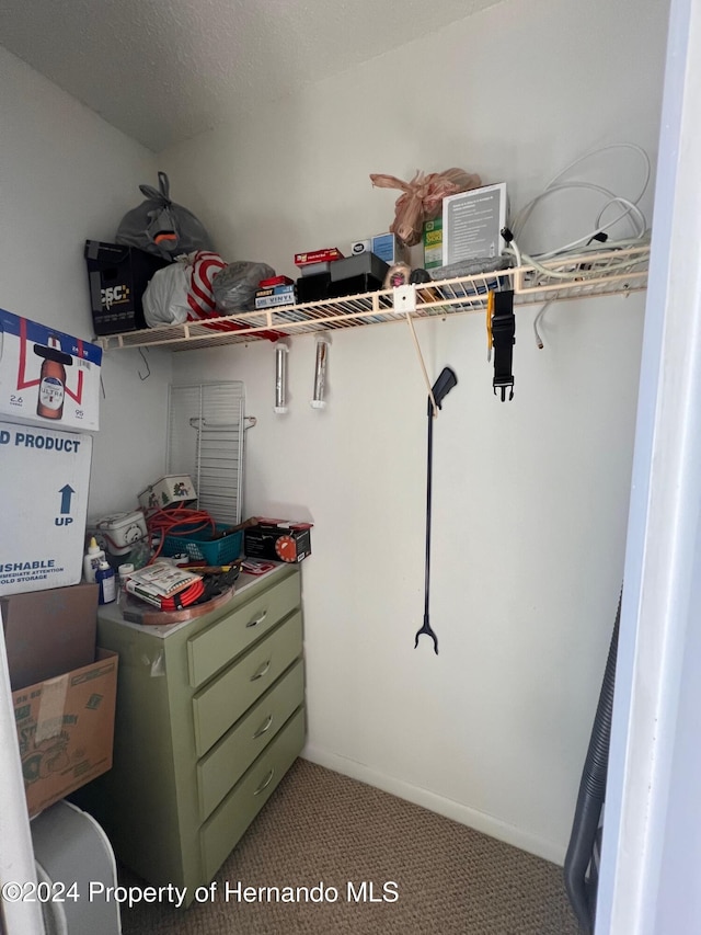 walk in closet featuring light carpet