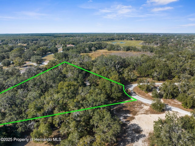 4160 S Kenvera Loop, Inverness FL, 34450 land for sale