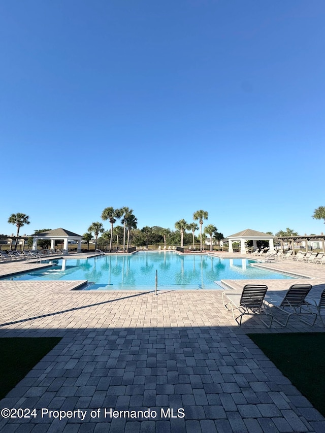 view of pool with a patio area