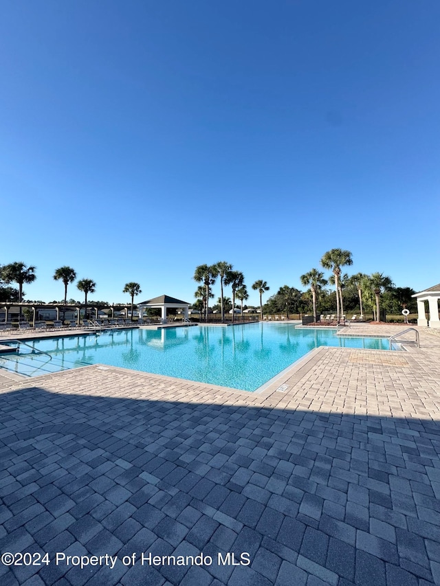 view of swimming pool with a patio