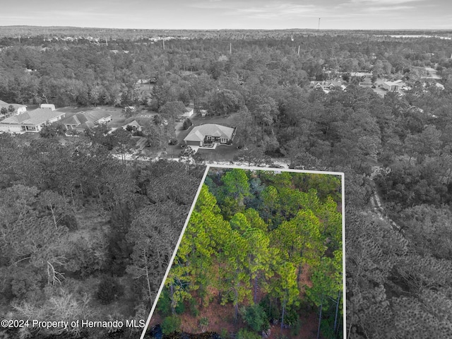 LOT8 Bunting Rd, Weeki Wachee FL, 34613 land for sale