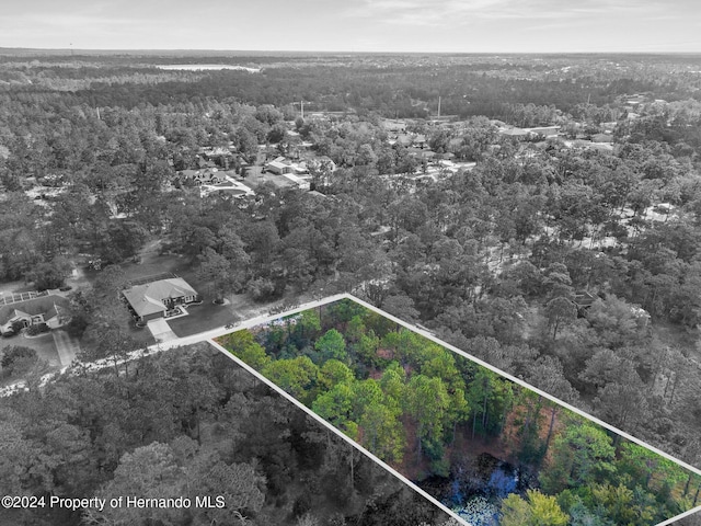 Listing photo 2 for LOT8 Bunting Rd, Weeki Wachee FL 34613