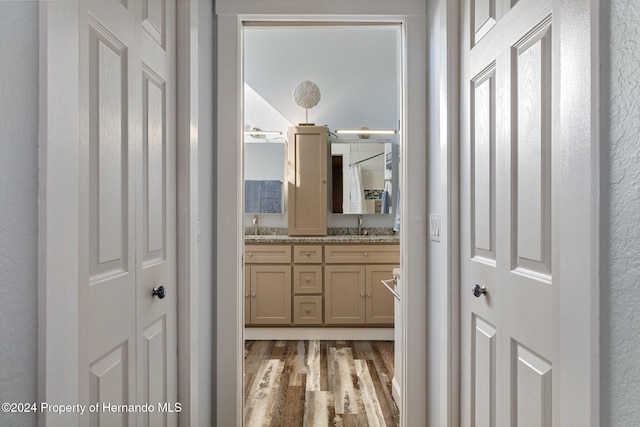 bathroom featuring wood-type flooring and vanity