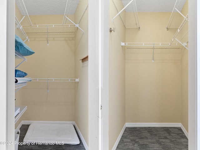 spacious closet with carpet floors