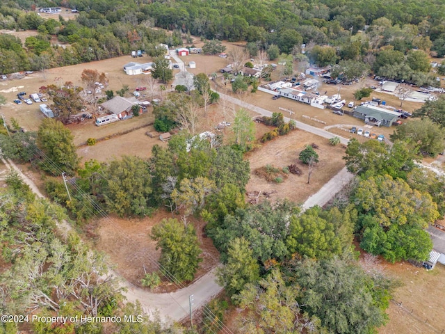 18019 Good Hope Ln, Spring Hill Pasco, FL 34610 - photo 1