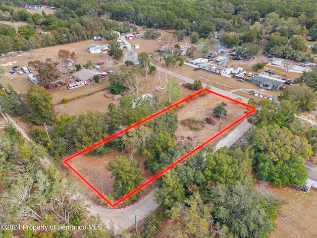 18019 Good Hope Ln, Spring Hill Pasco, FL 34610 - photo 2