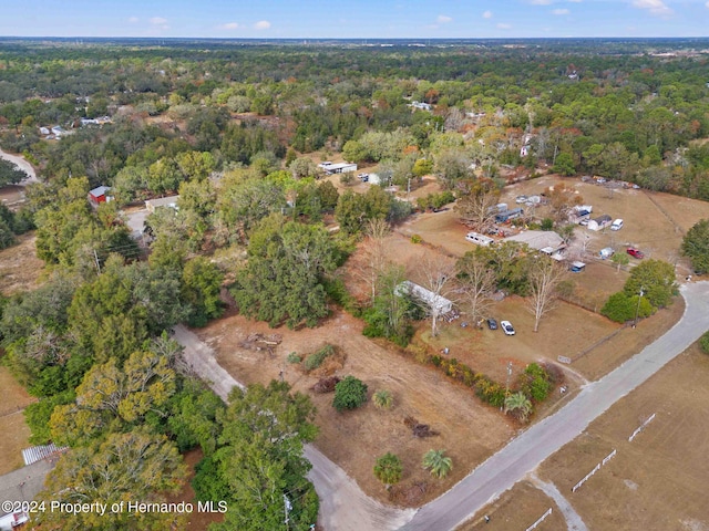 18019 Good Hope Ln, Spring Hill Pasco, FL 34610 - photo 3